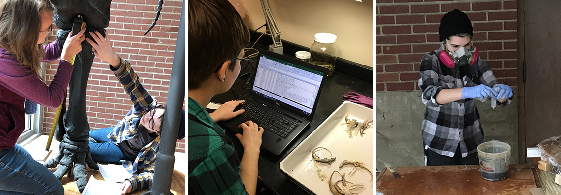 New Mexico Museum of Natural History and Science