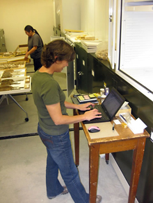A person typing on a laptop at a standing desk in a lab